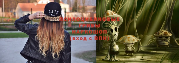 не бодяженный Алзамай