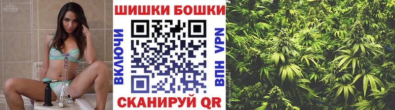 Бошки Шишки MAZAR  Курчалой 